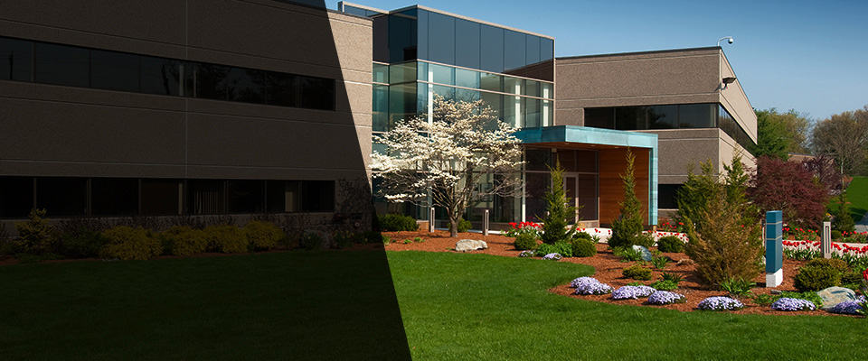 Roseville Landscapers